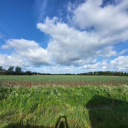 Huisje Mina Vrouwenpolder Exteriör bild